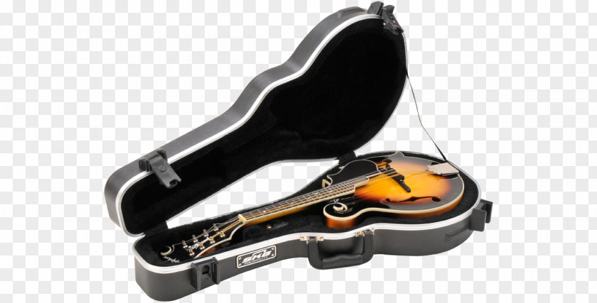 Guitar Acoustic Mandolin Musical Instruments Taylor Guitars PNG
