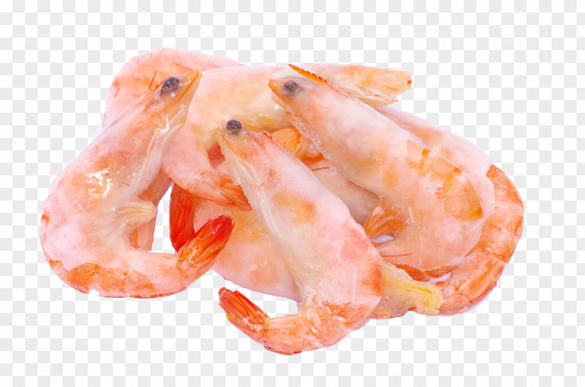 Shrimps Caridea Shrimp Frying PNG