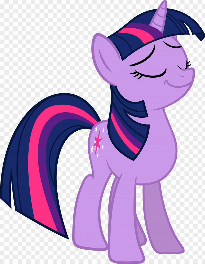 Sparkle Twilight Pony Pinkie Pie Winged Unicorn DeviantArt PNG