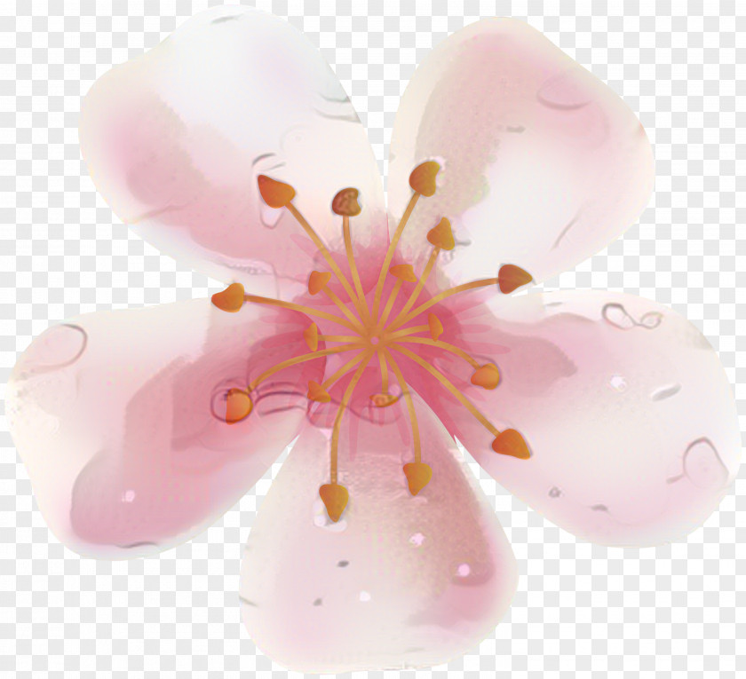 ST.AU.150 MIN.V.UNC.NR AD Cherry Blossom Pink M Close-up PNG