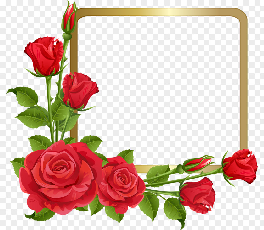 Rose Borders And Frames Clip Art Flower PNG
