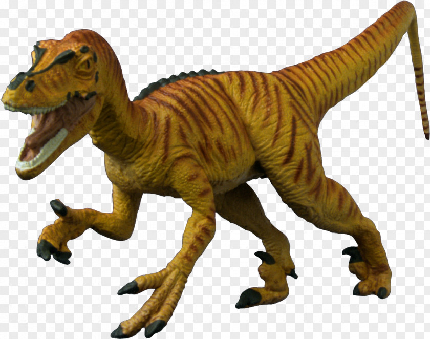 Dinosaur Tyrannosaurus Velociraptor Carnotaurus PNG