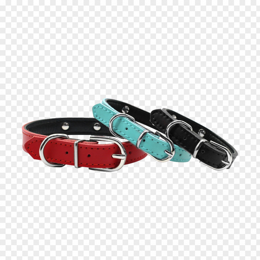 Dog Collar Puppy Cat PNG