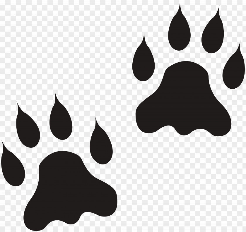 Lion Clip Art Paw Openclipart Polydactyl Cat PNG