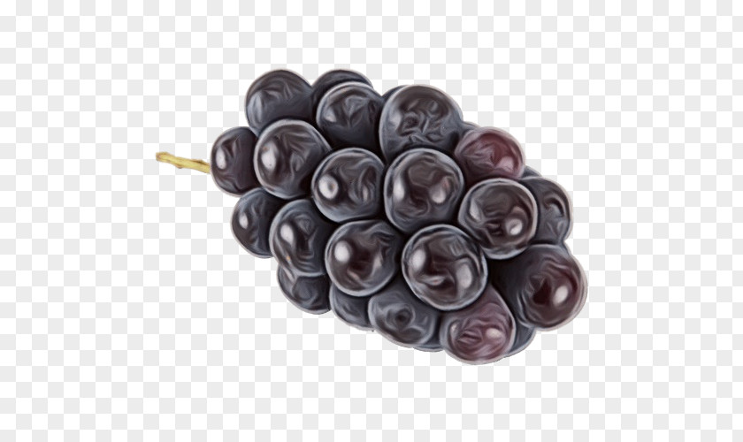 Olive Grapevine Family Fruit Grape Plant Vitis Food PNG