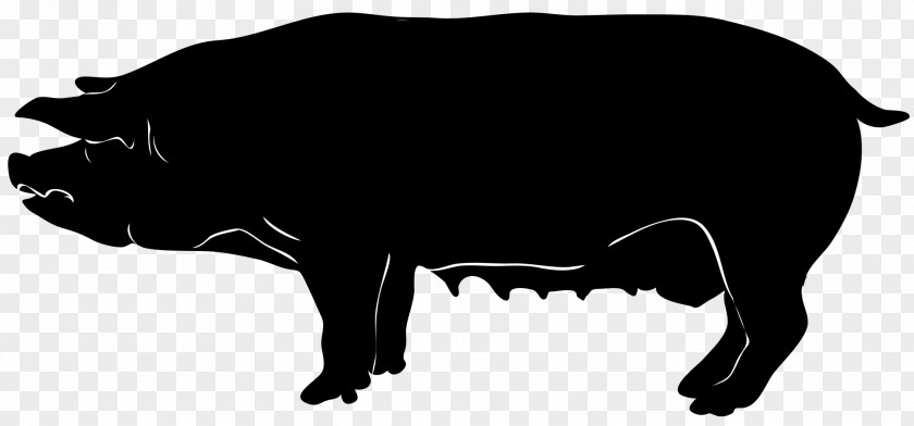 Pig Silhouette Domestic Clip Art PNG