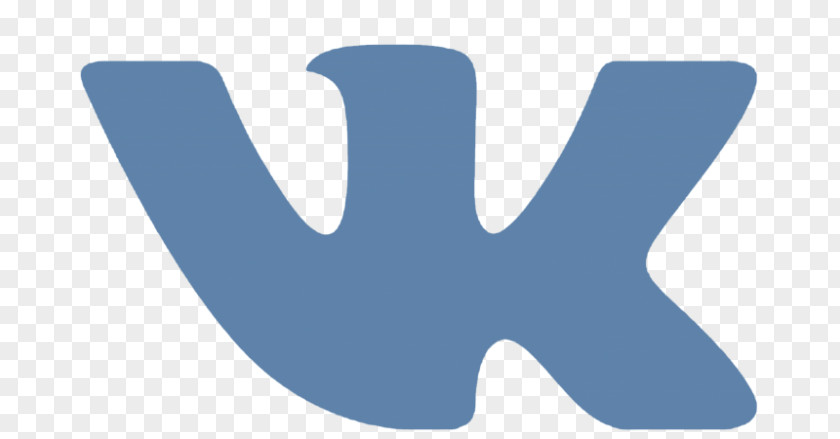 Social Media VKontakte Logo Networking Service PNG