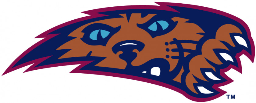 Wildcat Logo Arizona Wildcats Mens Basketball Villanova University PNG