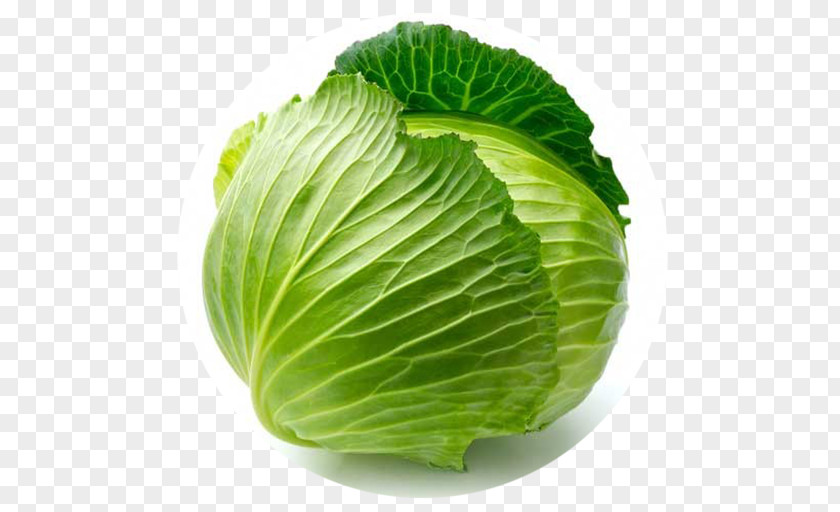 Cabbage Savoy Red Vegetable PNG