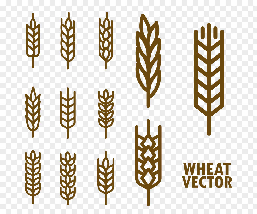 Hand Painted Wheat Cereal Download PNG