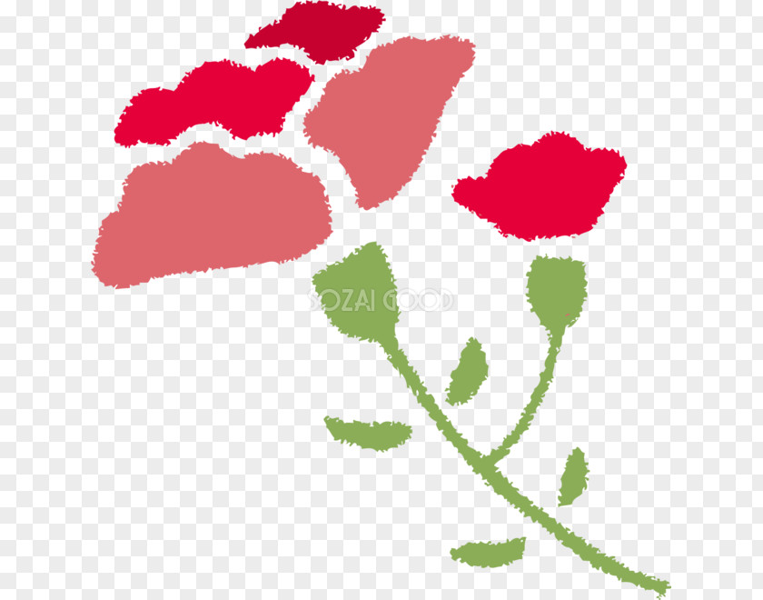 Illustration Garden Roses Stencil Design Mother's Day PNG