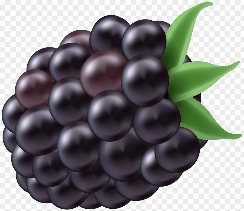 Blackberry Clip Art Image BlackBerry Z3 PNG