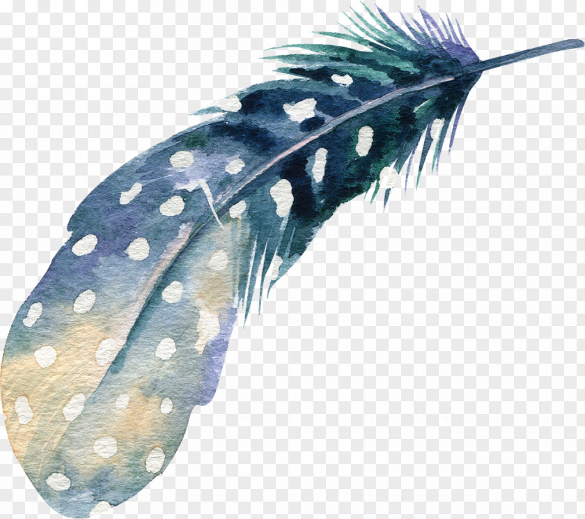 Feather Watercolor Painting Drawing Illustration PNG