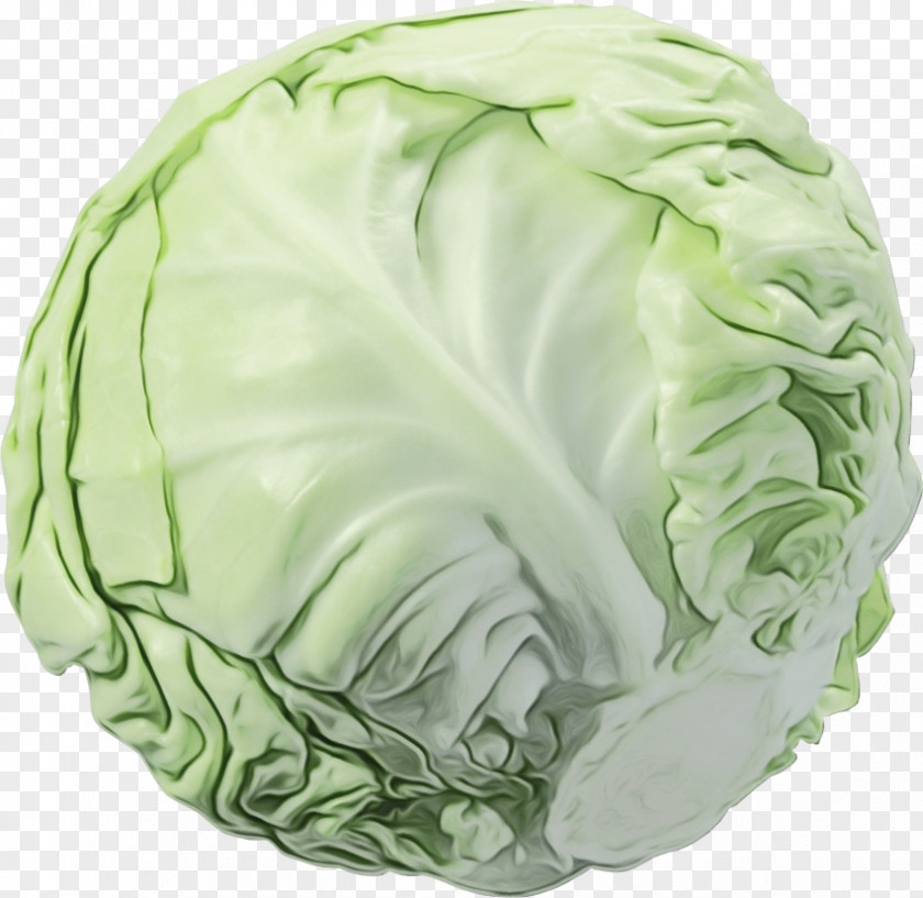 Food Leaf Vegetable Cabbage Green Wild Iceburg Lettuce Cruciferous Vegetables PNG