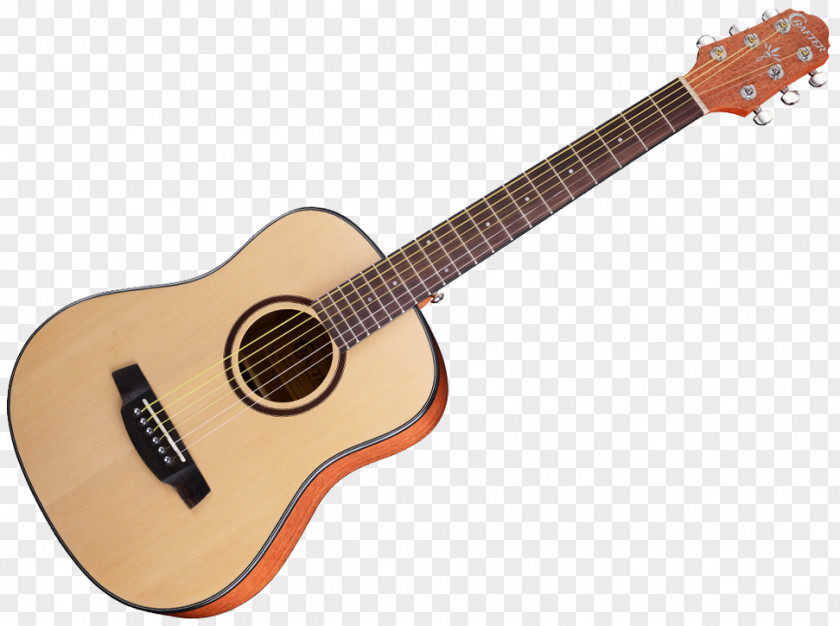 Guitar Acoustic Twelve-string Warr PNG