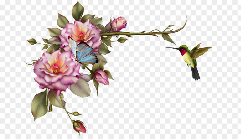 Peony Flower Arranging Bouquet Of Flowers Drawing PNG