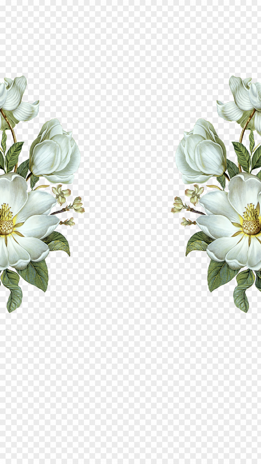 Pure And Fresh Flowers PNG