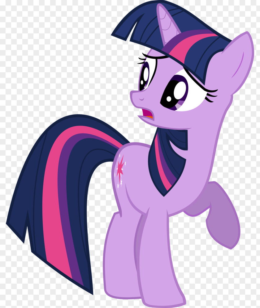 Sparkle Twilight Rarity Pinkie Pie My Little Pony PNG