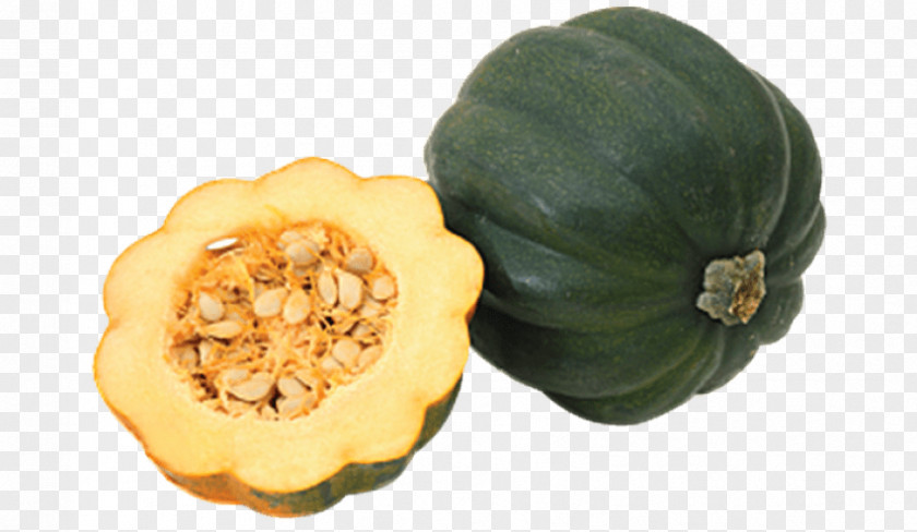 Acorn Squash Gourd Winter Cucurbita Pepo Var. Cylindrica PNG