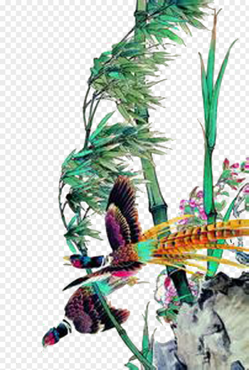 Bamboo Phoenix Graphic Design Google Images Illustration PNG