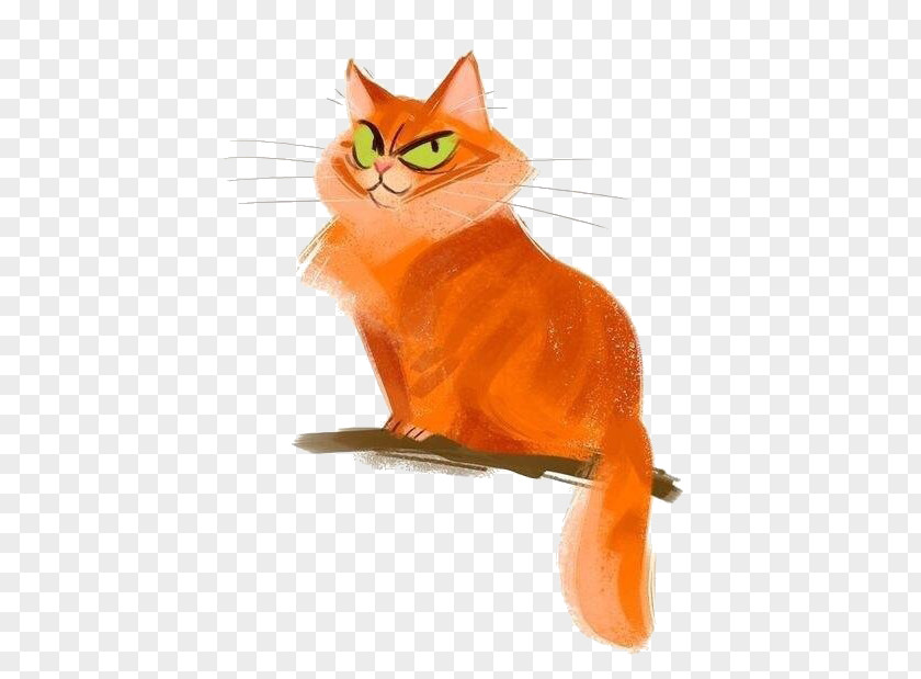 Cartoon Orange Kitten Sphynx Cat Snowshoe Drawing Illustration PNG