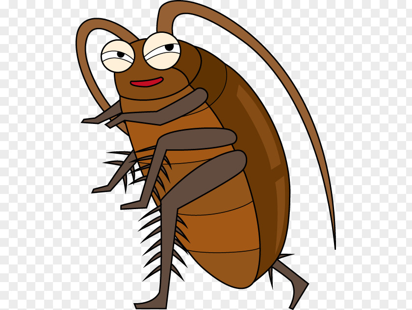 Cockroach Blattodea Roach Motel Pest Control Insecticide PNG
