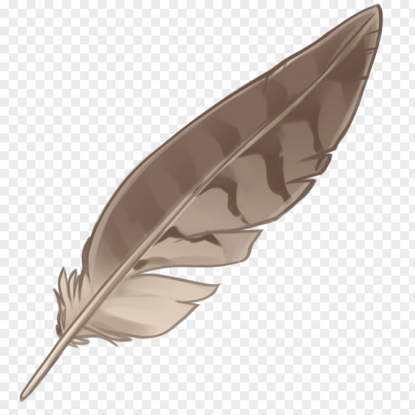 Feather Eagle Law Native Indian Feathers Image PNG