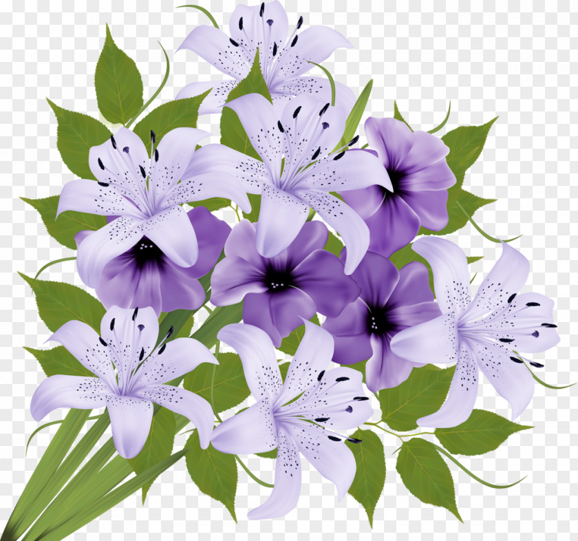 Flower Clip Art PNG