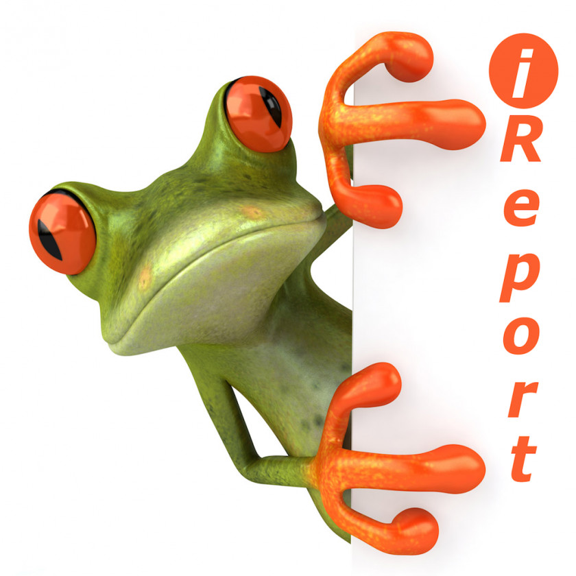 Frog Jumping To Conclusions Quotation Saying Argument Clip Art PNG