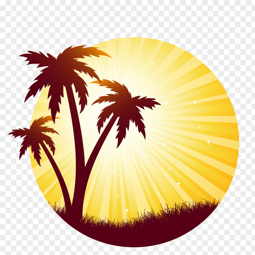 Silhouette Arecaceae Sunset PNG