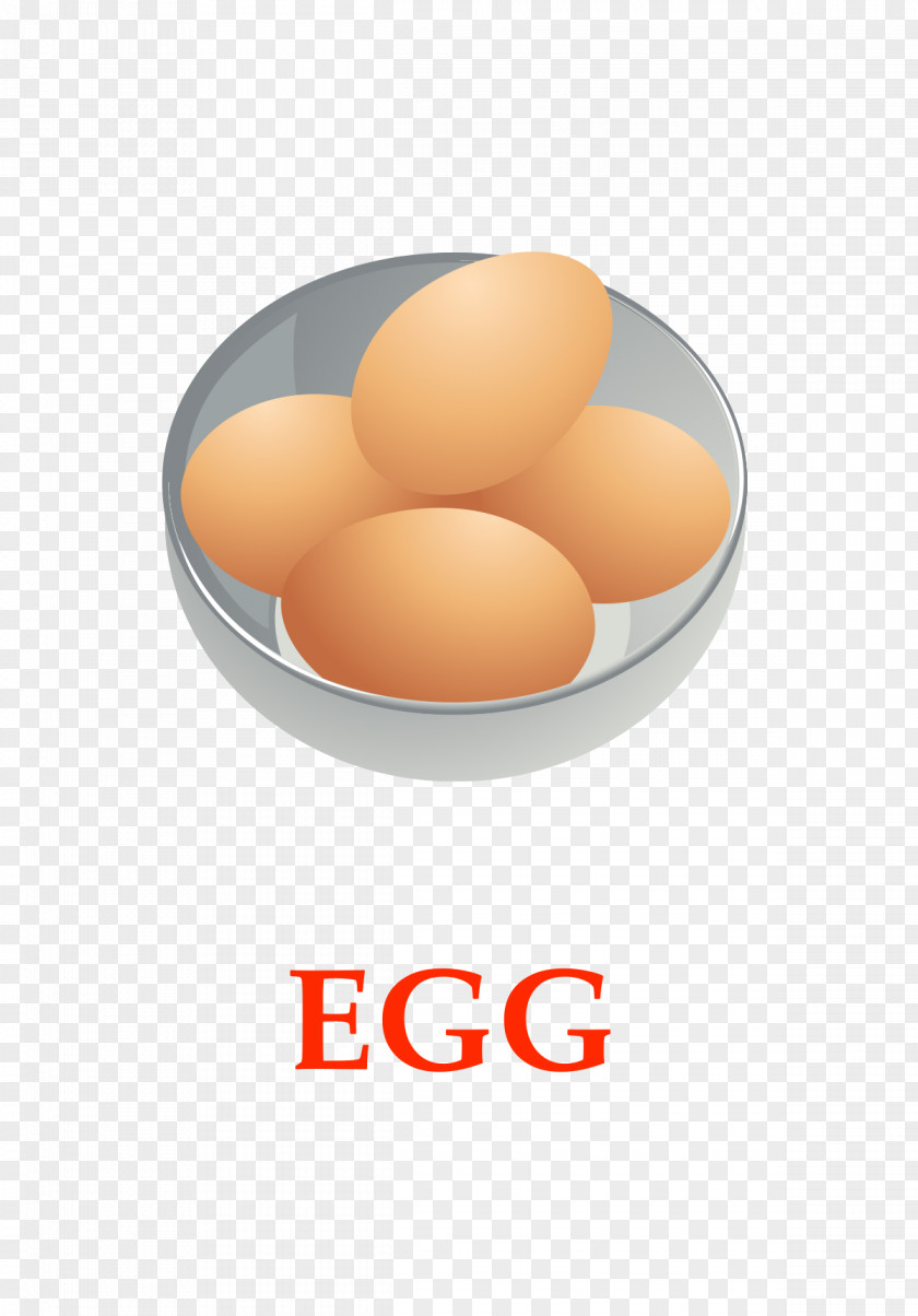 English Teaching Eggs Food Vector Illustration Egg PNG