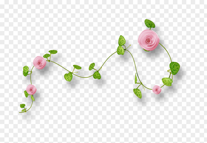 Floral Decoration Download Pink Icon PNG