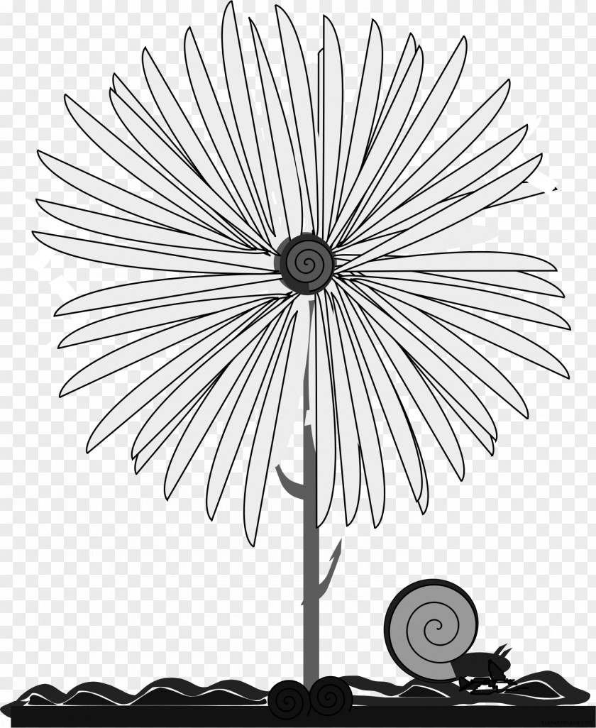 Flower Common Daisy Clip Art Borders And Frames Yellow PNG