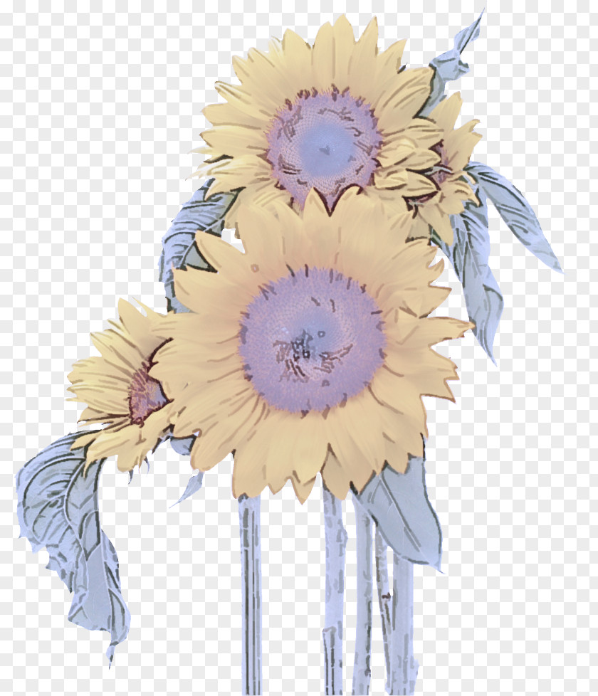 Gerbera Feather Sunflower PNG