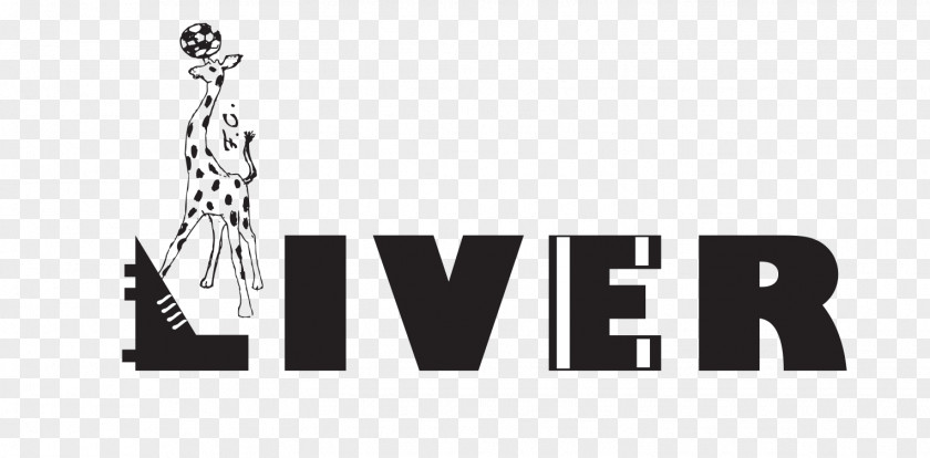 Liver Image Logo Brand PNG