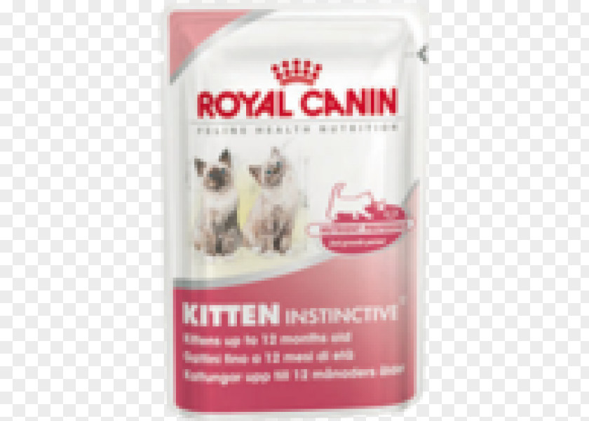Royal Canin Kitten Cat Food Maine Coon Dog PNG