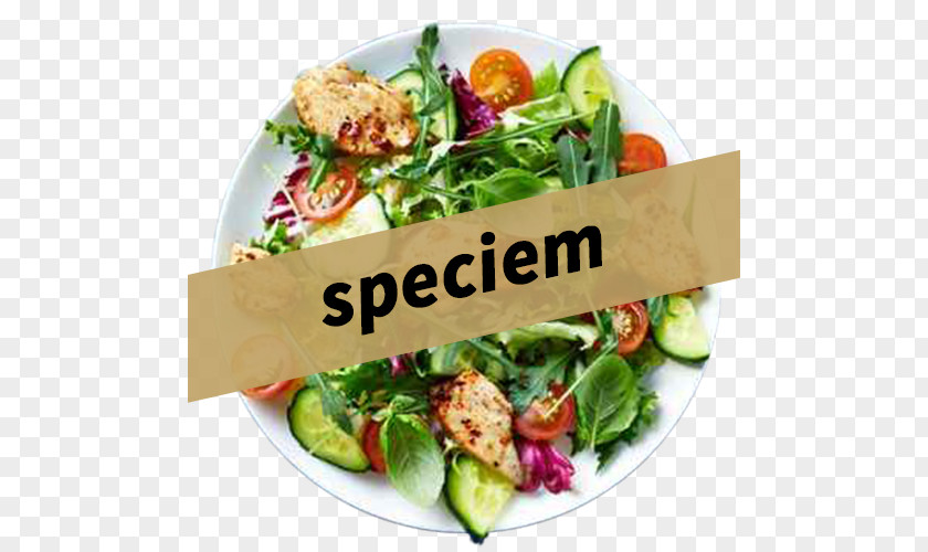Salade De Saison Food Eating Barbecue Chicken Salad Health PNG