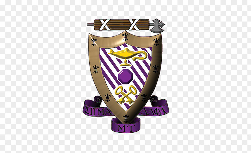 Student City College Of New York Texas A&M University At Austin Sigma Alpha Mu Fraternities And Sororities PNG