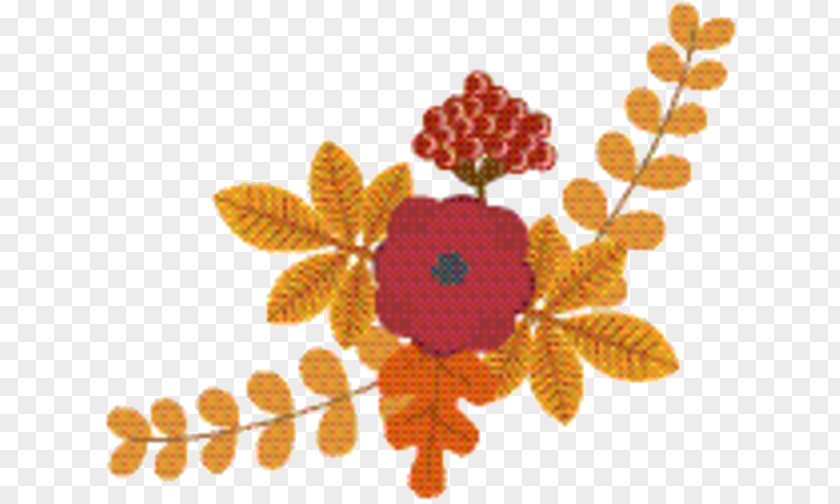 Textile Plant Orange Flower PNG