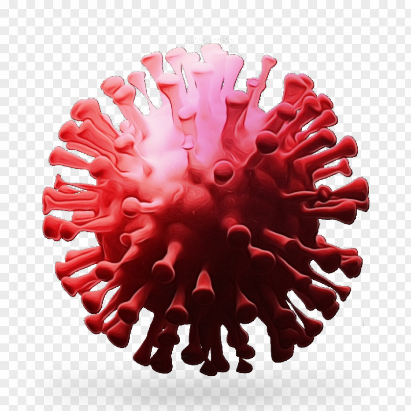 Coronavirus 2019–20 Pandemic All India Institute Of Medical Sciences, New Delhi Disease 2019 PNG