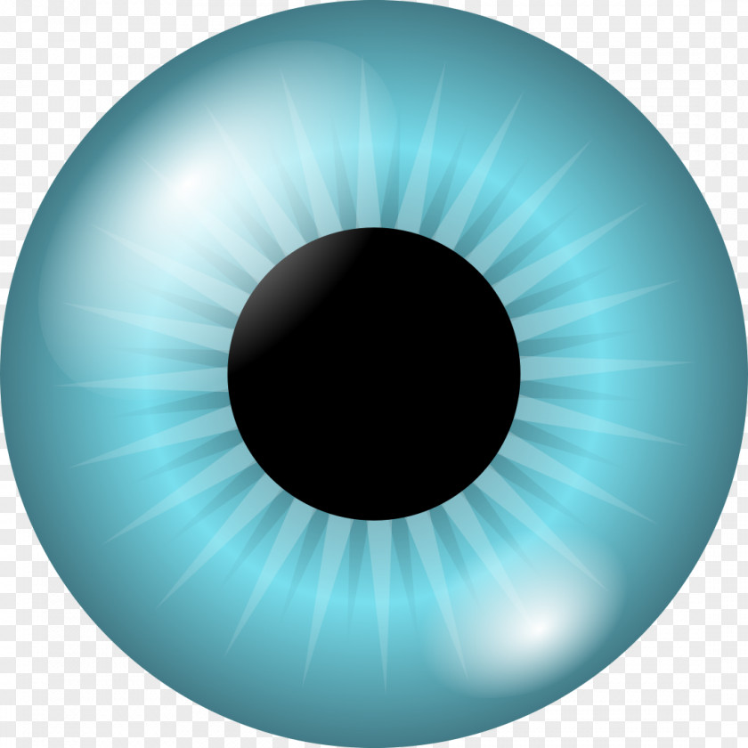 Eyes Iris Pupil Human Eye Clip Art PNG
