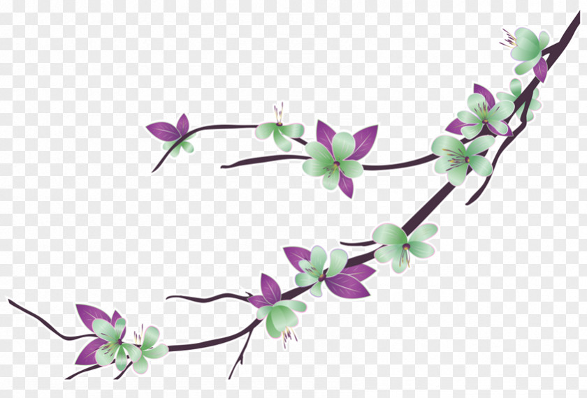 Flor Flower Bouquet Branch Drawing PNG