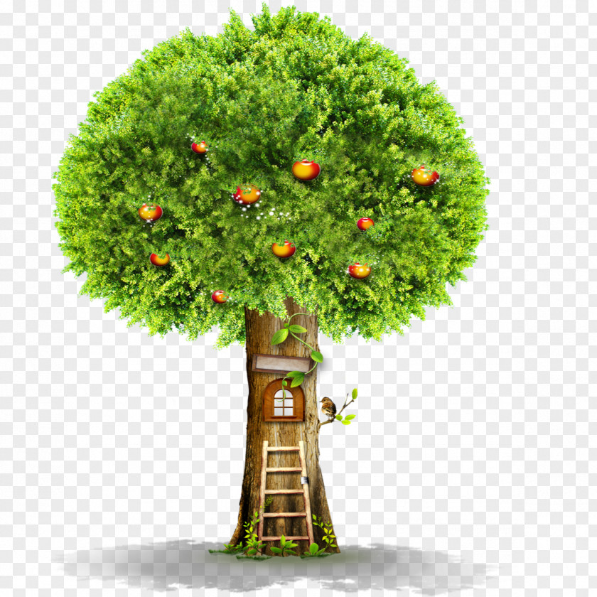 Ladder Under The Apple Tree Window PNG
