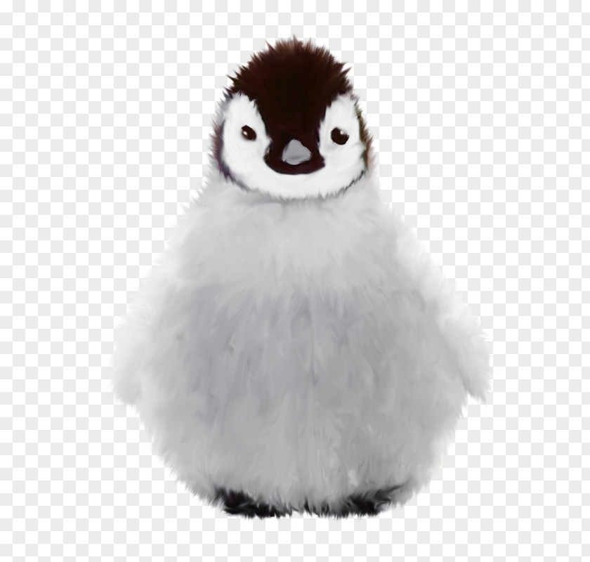 Penguin Winter PNG