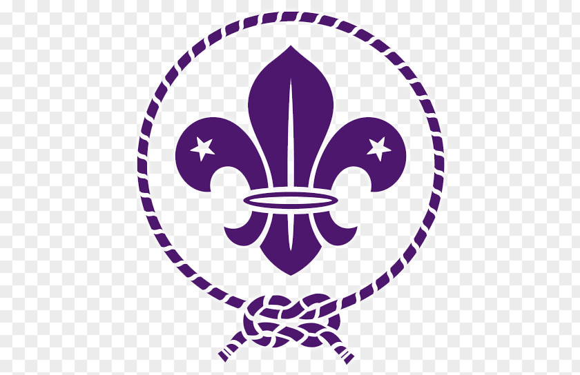 Scouting For Boys World Scout Emblem Organization Of The Movement Boy Scouts America PNG
