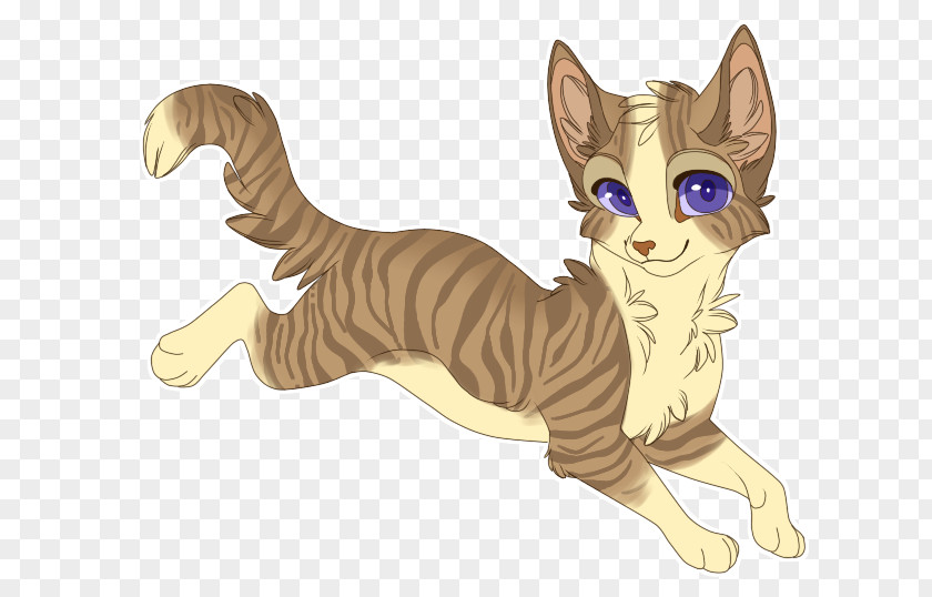 Shadow Warrior Wildcat Kitten Whiskers Tabby Cat PNG