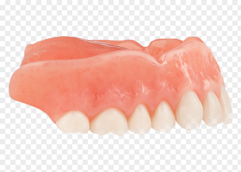 Tooth Dentures PNG