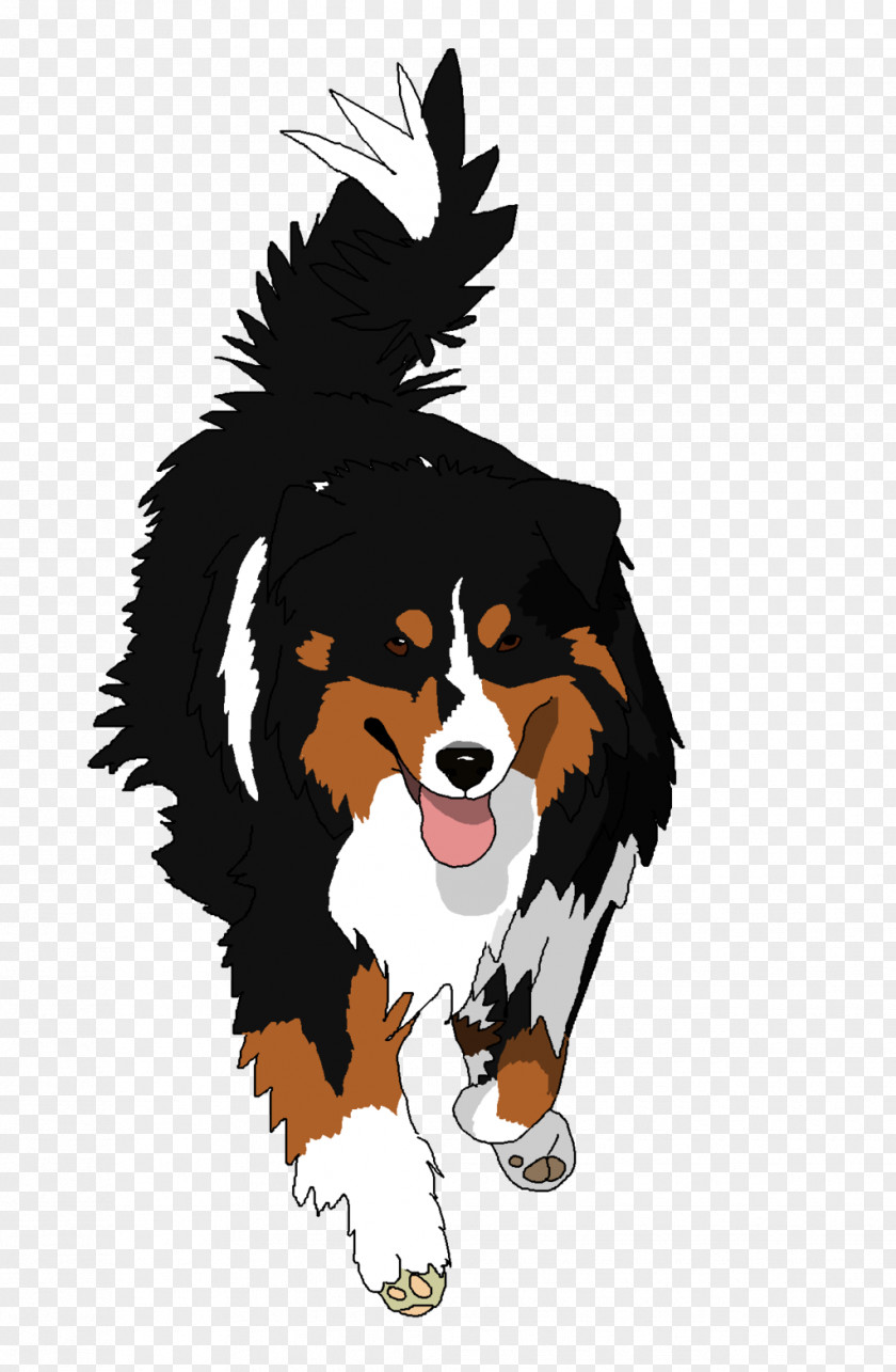 Australian Shepherd Dog Breed Bernese Mountain PNG