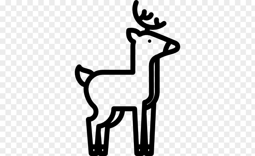 Deer Vector Reindeer Disney's Animal Kingdom Horse PNG