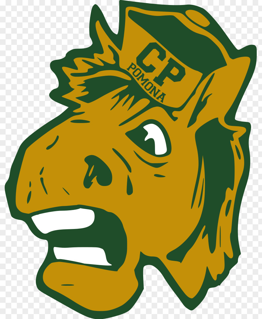 Pomo California State Polytechnic University, Pomona University Cal Poly Broncos Men's Basketball Adapted Physical Education PNG